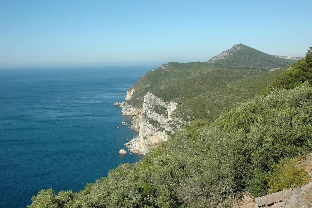 Duplexdubocage Setúbal Zewnętrze zdjęcie